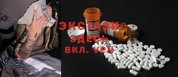 spice Богородицк